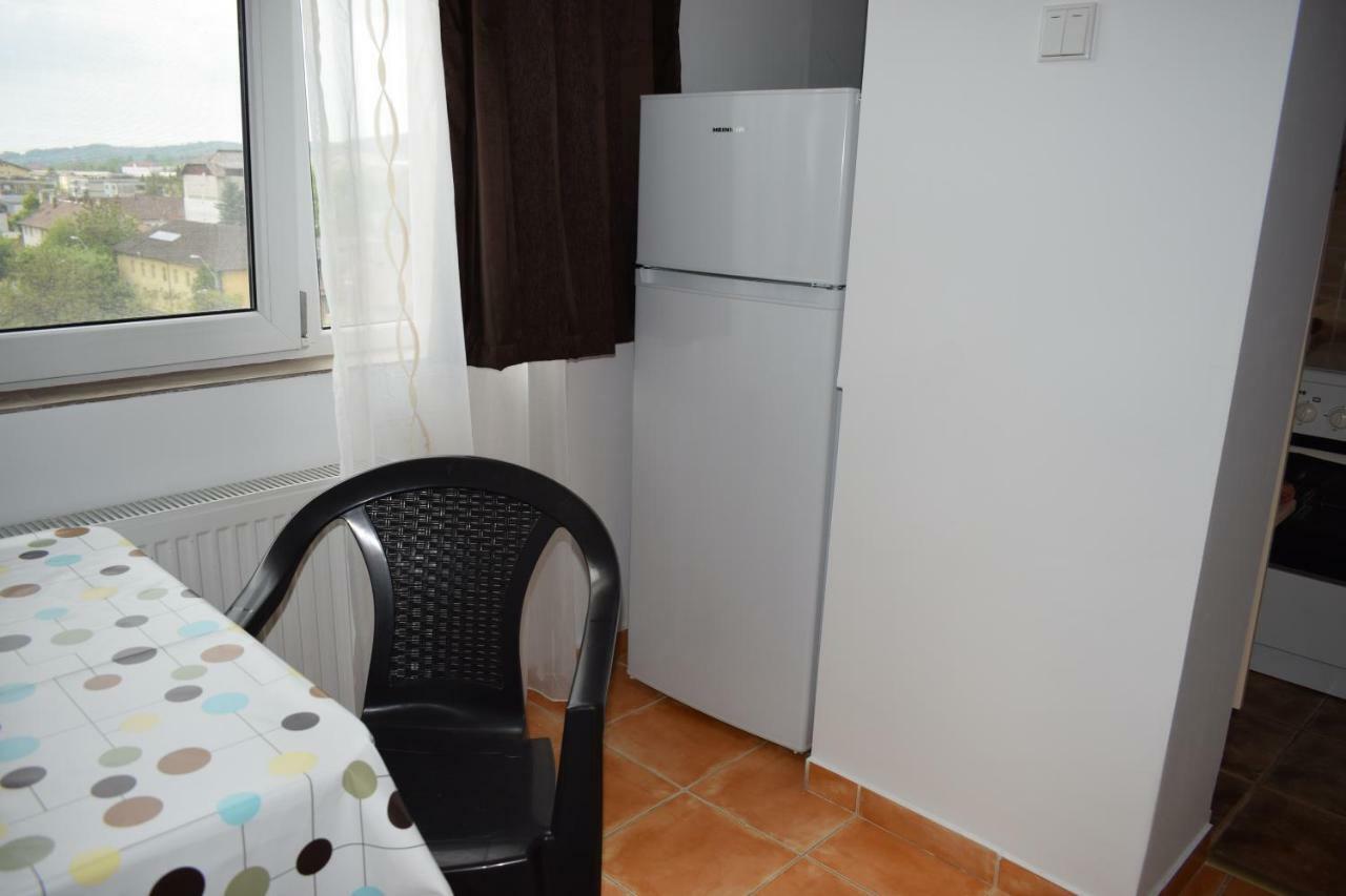 Apartament Hospital View Independentei RHBM Baia Mare Exterior foto